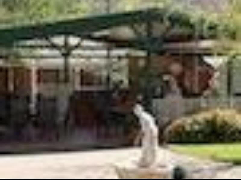 The Birch House - Silver Birches Accommodation Bright Esterno foto