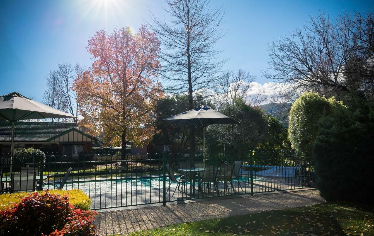 The Birch House - Silver Birches Accommodation Bright Esterno foto